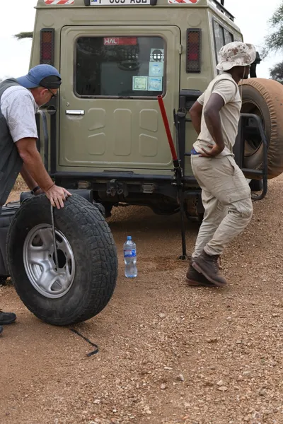 DSC_4075 (Large).JPG